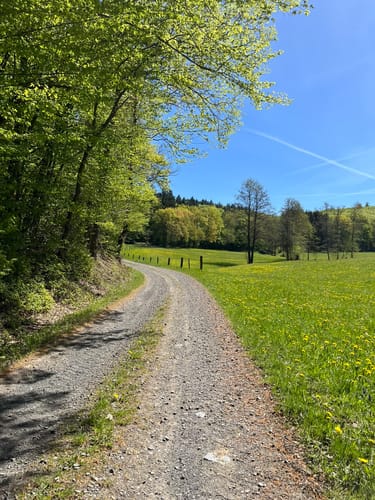 Jesberg Wanderweg Nr. 5
