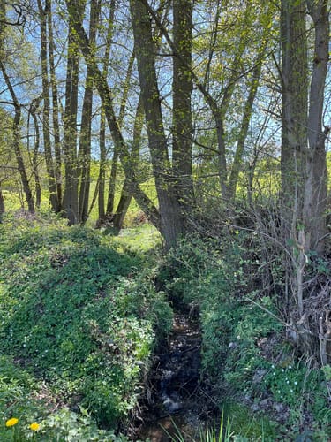 Jesberg Wanderweg Nr. 5