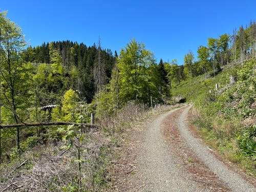 FrankenwaldSteigla Rund um die Gaaßleitn
