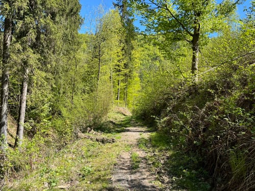 FrankenwaldSteigla Rund um die Gaaßleitn