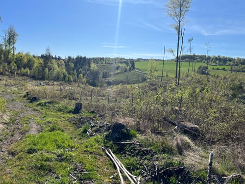 FrankenwaldSteigla Rund um die Gaaßleitn