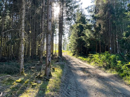 FrankenwaldSteigla Rund um die Gaaßleitn