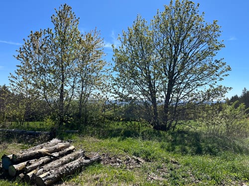 FrankenwaldSteigla Rund um die Gaaßleitn