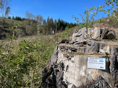 FrankenwaldSteigla Rund um die Gaaßleitn