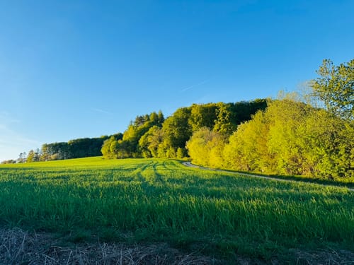 Ernst-Schlösser-Weg