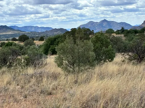 Arizona Trail (AZT): Passage 3 - Canelo Hills West, Arizona - 83