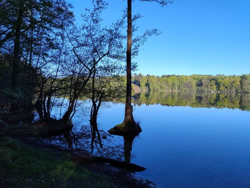 Rund um den Großensee