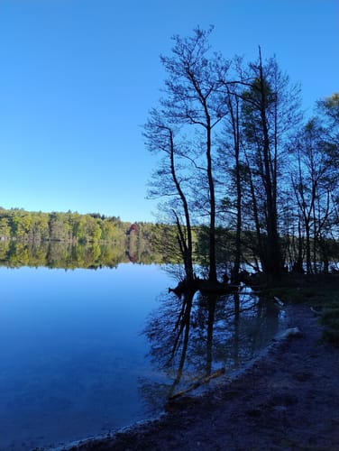 Rund um den Großensee