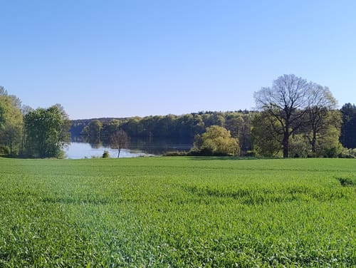 Rund um den Großensee