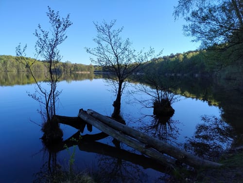 Rund um den Großensee