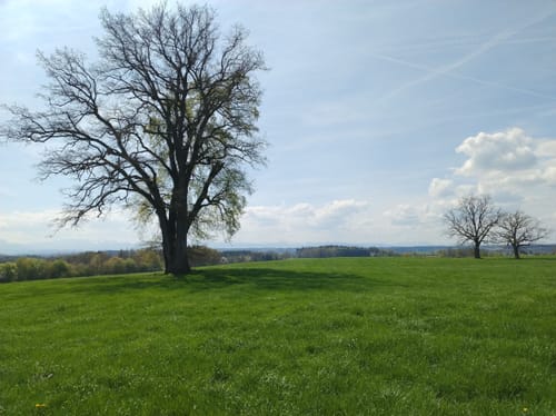 Zinneberg - Hermannsdorf - Glonn