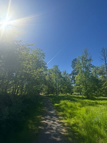 Rund um Petrisberg zum Aussichtspunkt