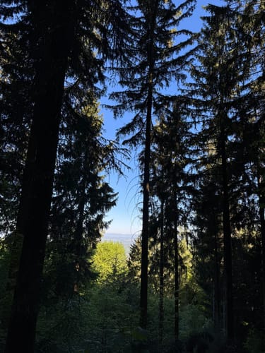 Tour zum Fremersberg