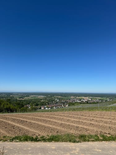 Tour zum Fremersberg