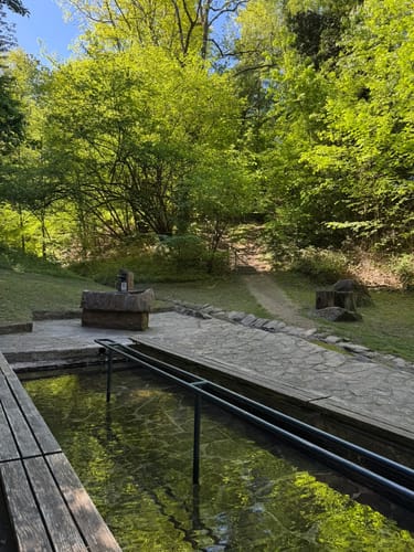 Tour zum Fremersberg