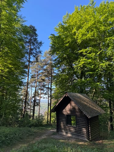 Tour zum Fremersberg