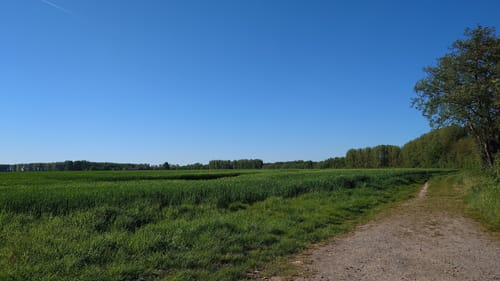 Rund um Meerbusch
