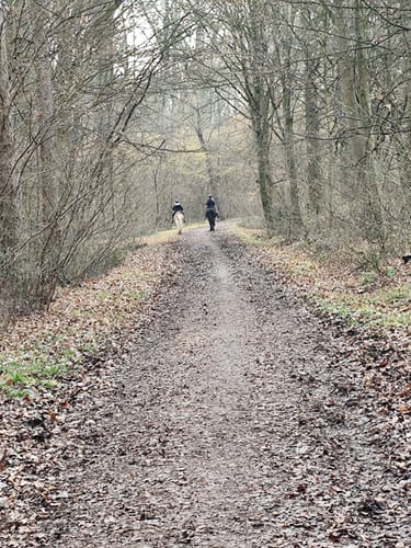 Durch den Zettachwald