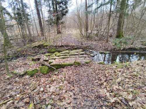 Durch den Zettachwald