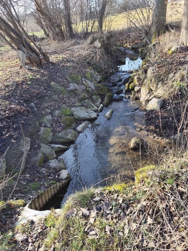Durch den Zettachwald