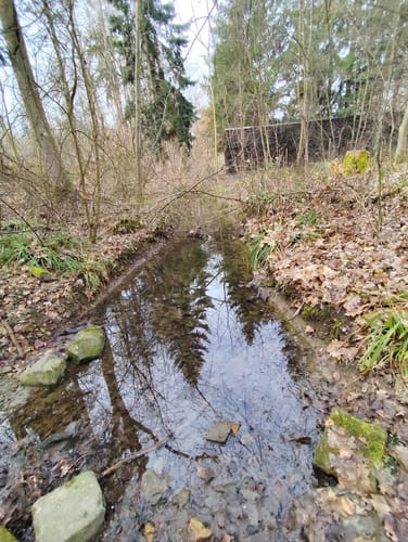 Durch den Zettachwald