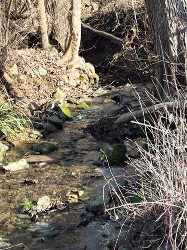 Durch den Zettachwald