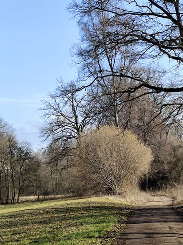 Durch den Zettachwald