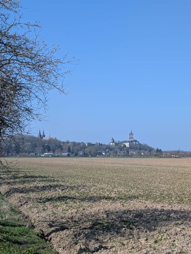 Rundwanderung durch den Moritz van Nassau Park