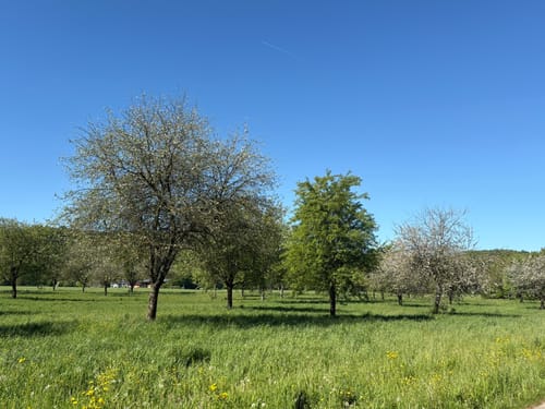 Kettwig und Wälder bei Hugenpoet und Landsberg