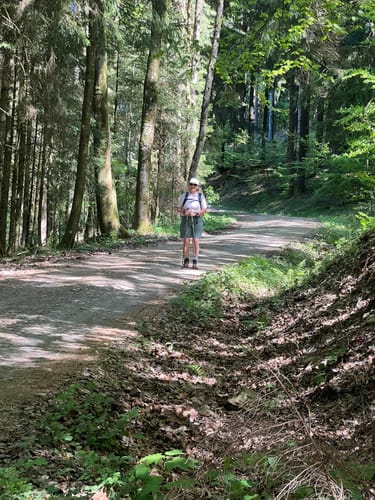 Goldsteig Südroute Etappe 19: Lalling - Zenting