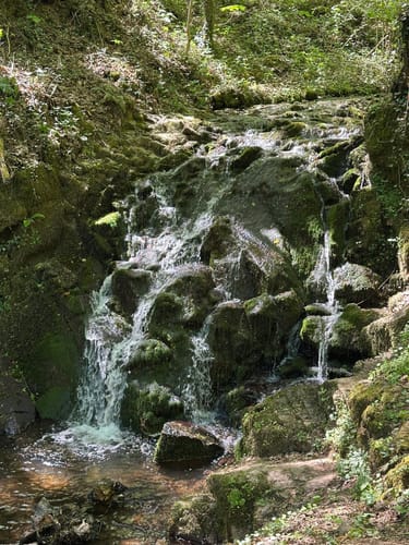 HeimatSpur Erlebnisweg Ritter-Räuber-Römer (Bad Bertrich)