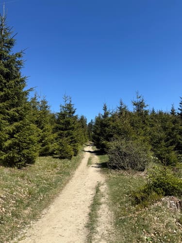 Latrop, Schanze und Grenzweg