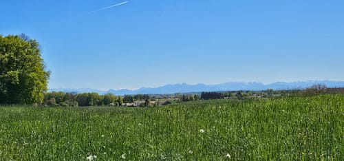 Ebersberger Seelauf (Seerunde + Waldrunde)