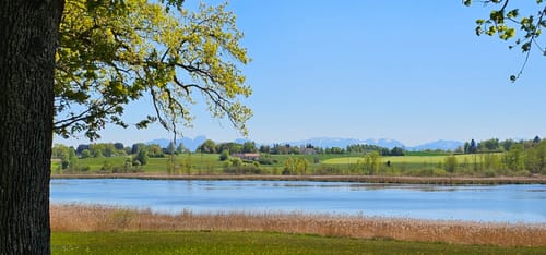 Ebersberger Seelauf (Seerunde + Waldrunde)