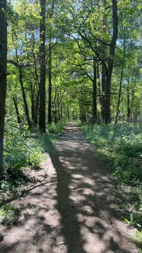 Traumweg Wildes Schaagbachtal