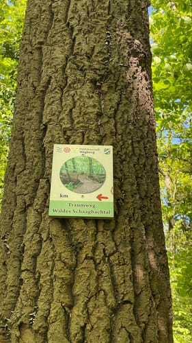 Traumweg Wildes Schaagbachtal