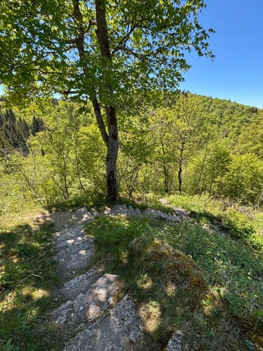 Donaufelsen-Tour (DonauWelle)