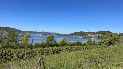 Sipplingen - Ludwigshafen - Buohof