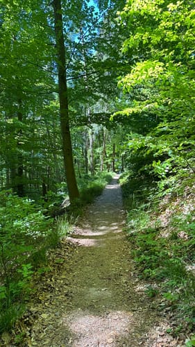 Sipplingen - Ludwigshafen - Buohof