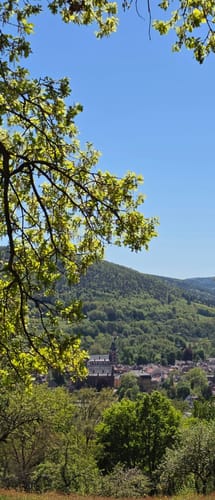 Amorbacher Sandstein-Weg