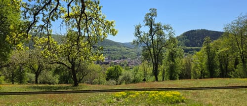 Amorbacher Sandstein-Weg
