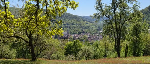 Amorbacher Sandstein-Weg