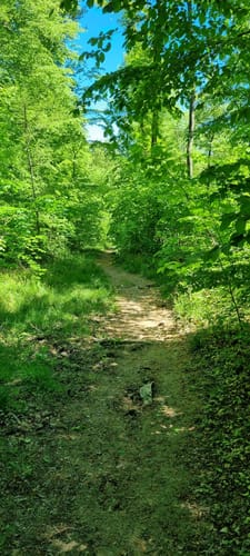 Bliesgau Tafeltour (Premiumwanderweg)