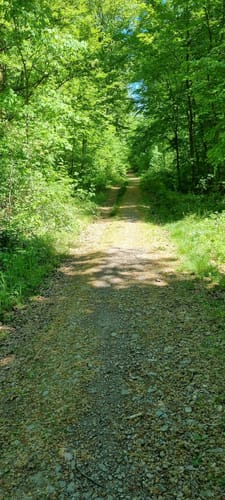 Bliesgau Tafeltour (Premiumwanderweg)
