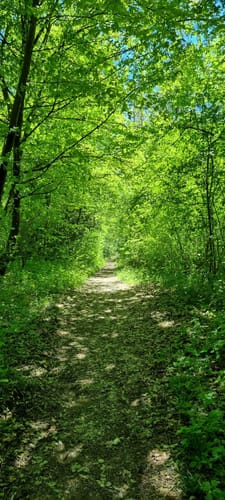 Bliesgau Tafeltour (Premiumwanderweg)