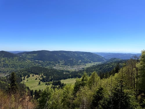 Bernauer Hochtal Steig (Premiumwanderweg)