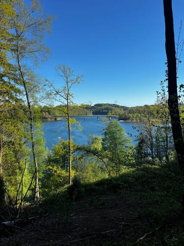 Wuppertalsperre – Honsberg (Hunderunde)