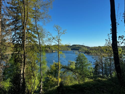 Wuppertalsperre – Honsberg (Hunderunde)
