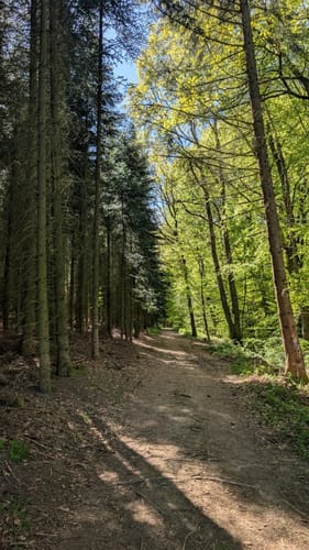 EifelSpur: Toskana der Eifel