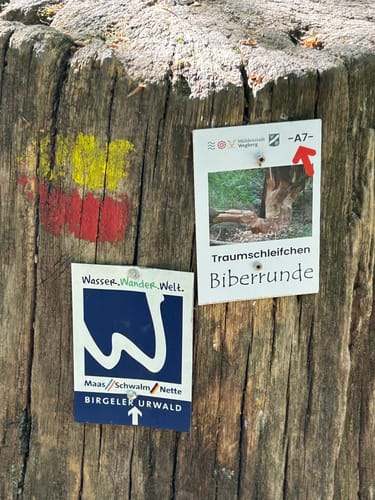 Rundwanderweg A7 (Wildenrath)